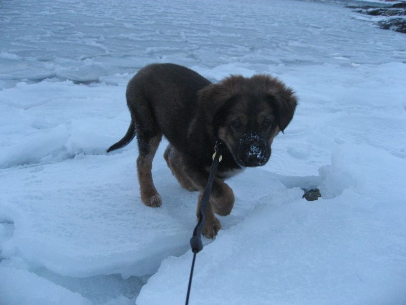 Djanco - ude og inde