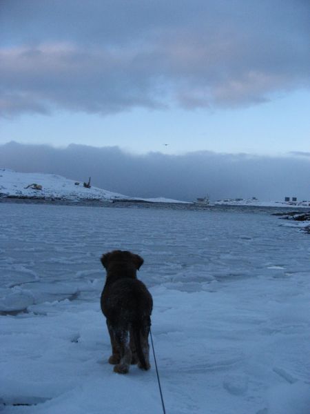 Djanco - ude og inde