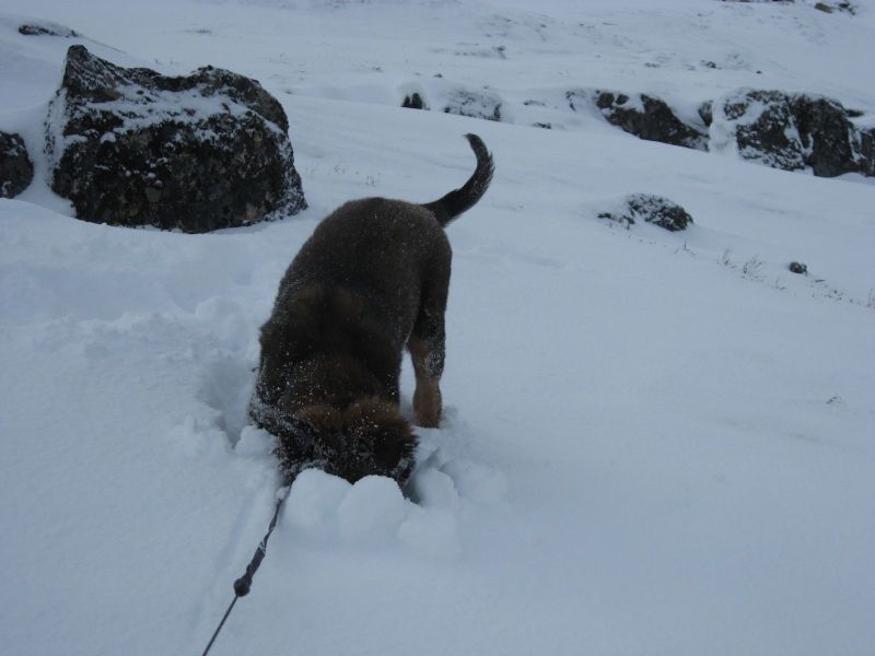 Djanco - ude og inde