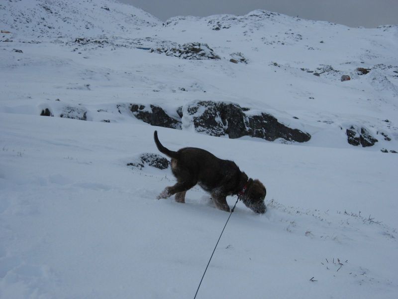 Djanco - ude og inde