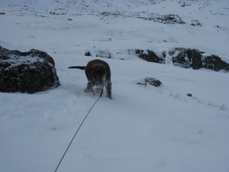 Djanco - ude og inde