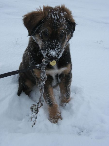 Djanco - ude og inde