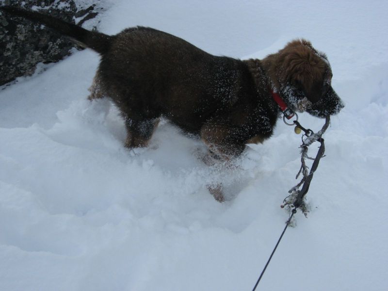 Djanco - ude og inde