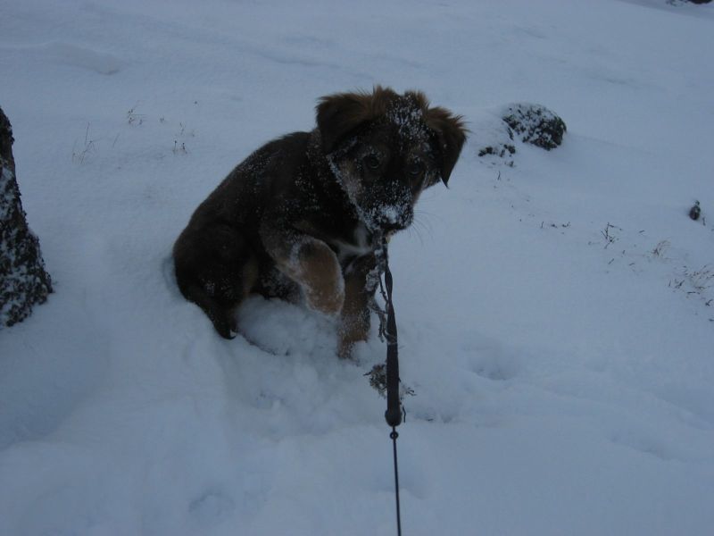 Djanco - ude og inde