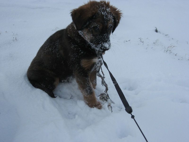 Djanco - ude og inde