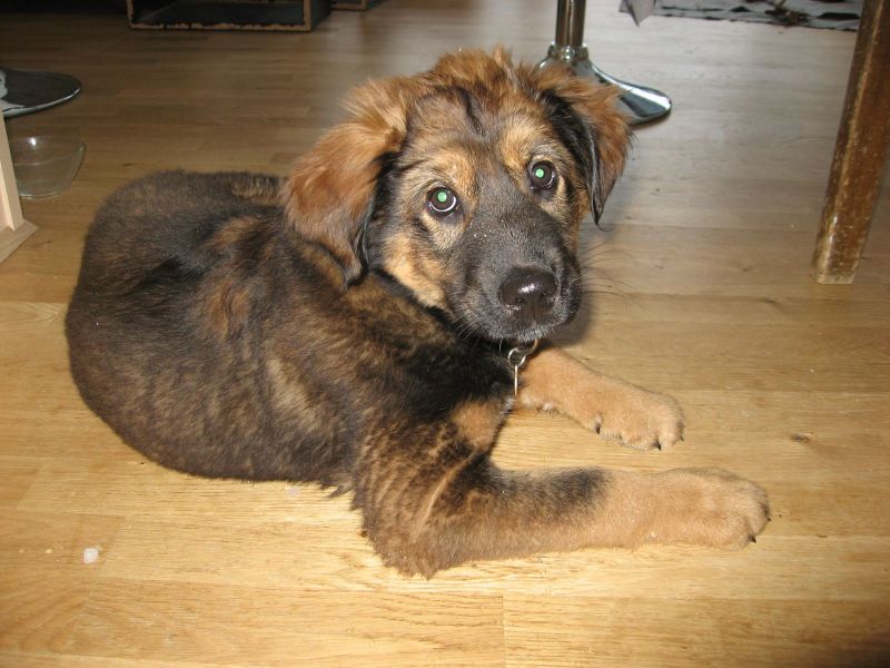 Djanco - ude og inde