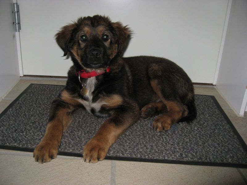 Djanco - ude og inde