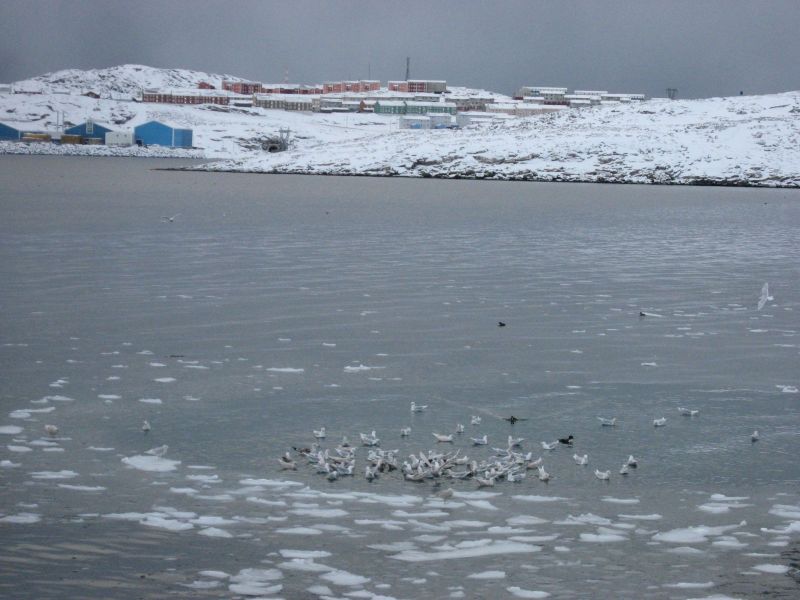 Billeder fra Qinnqorput