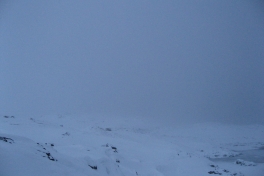 Billeder fra Qinnqorput