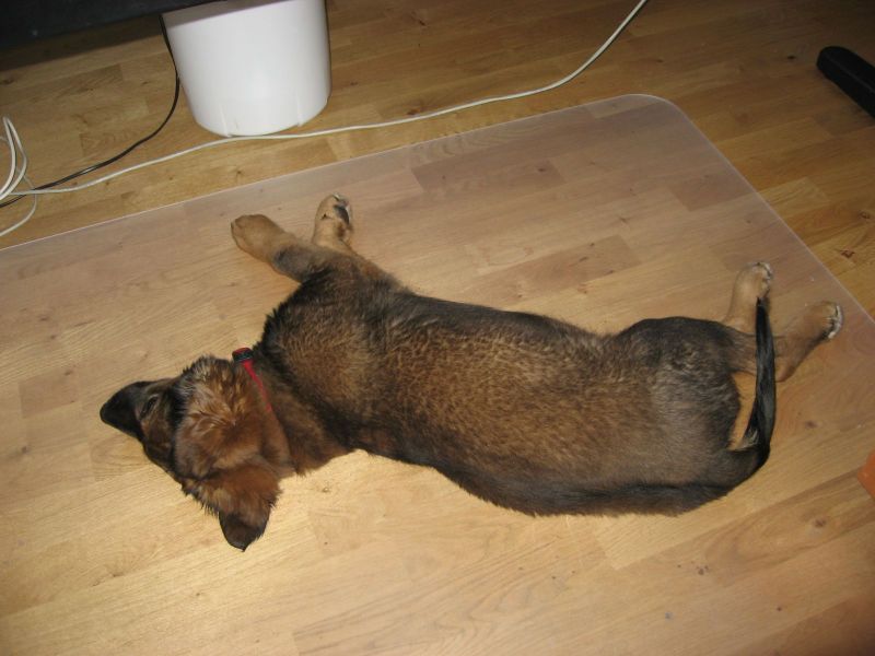 Djanco - ude og inde