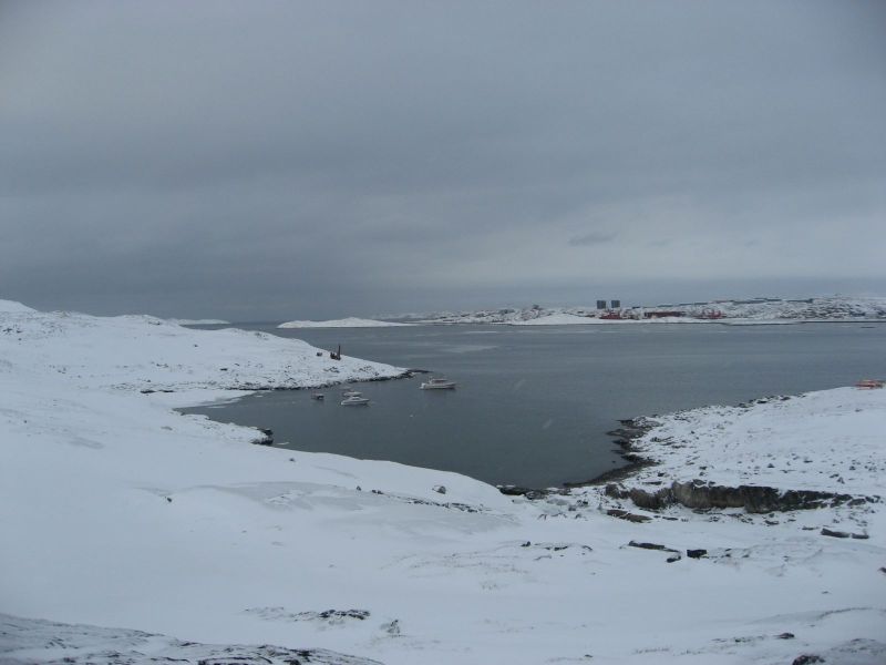 Billeder fra Qinnqorput