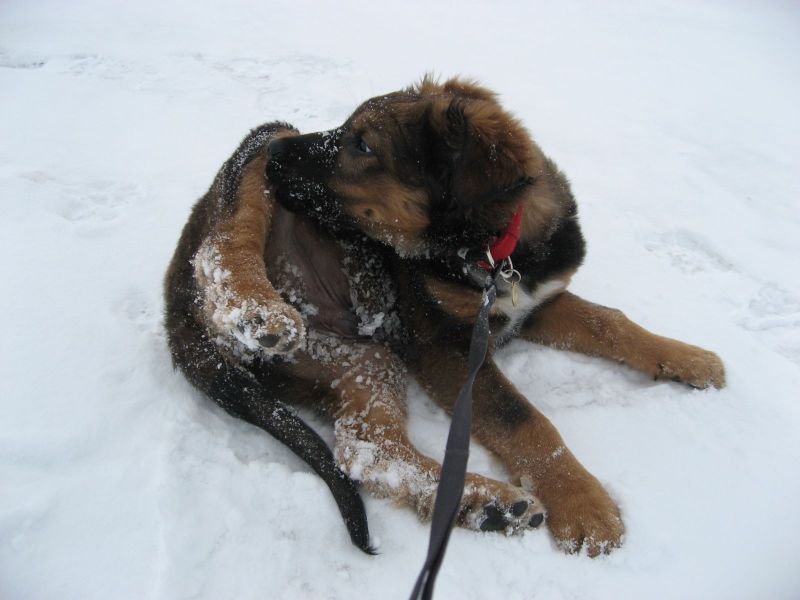 Djanco - ude og inde