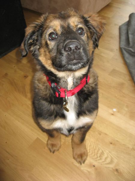 Djanco - ude og inde