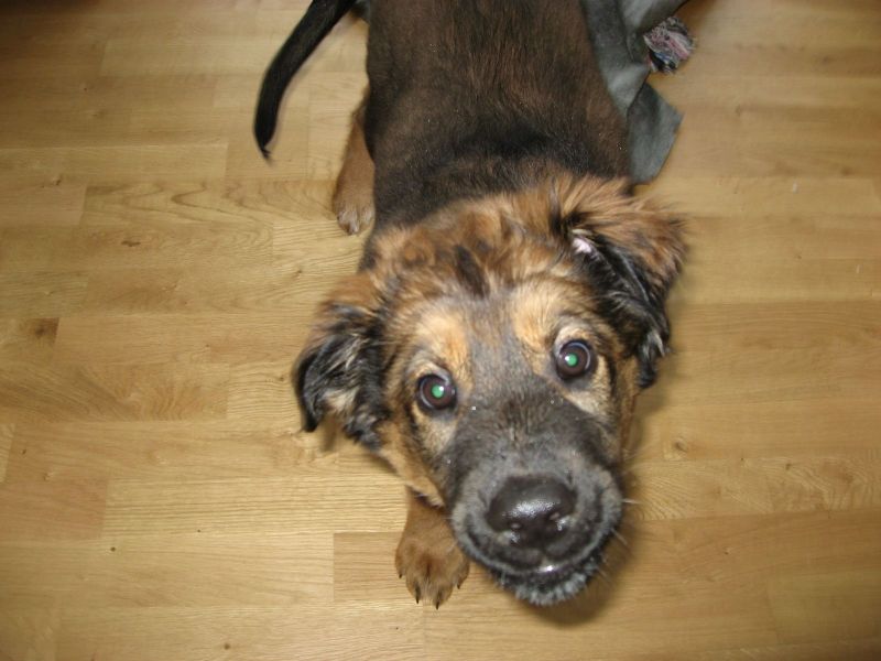 Djanco - ude og inde