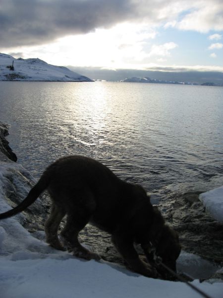 Djanco - ude og inde