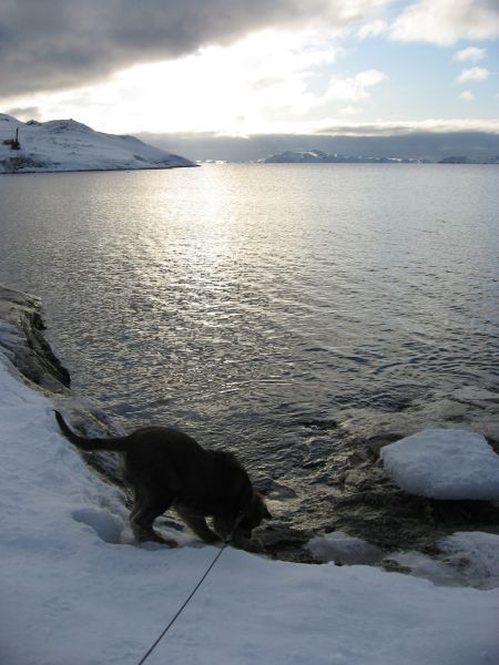 Djanco - ude og inde