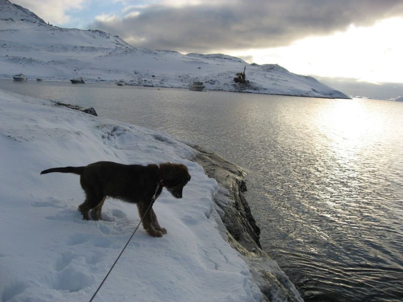 Djanco - ude og inde