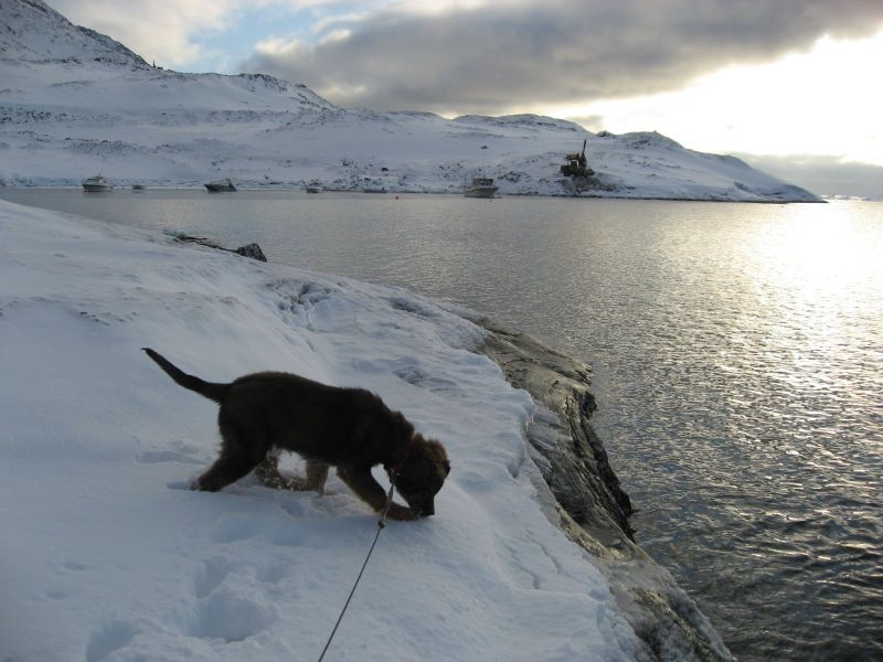 Djanco - ude og inde