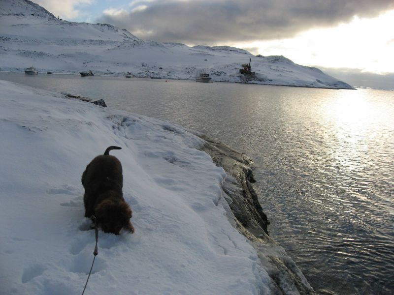 Djanco - ude og inde