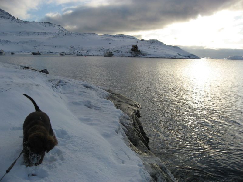 Djanco - ude og inde