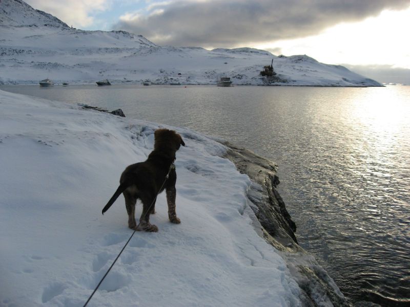 Djanco - ude og inde