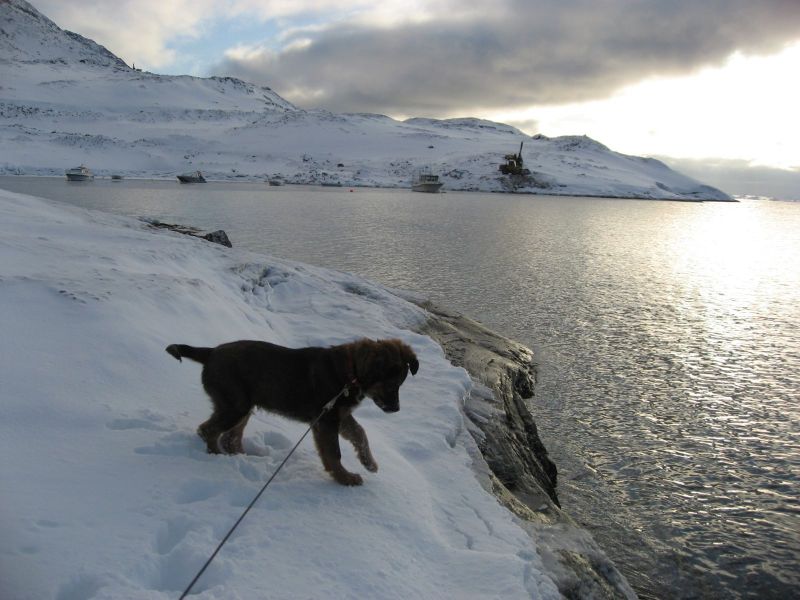 Djanco - ude og inde