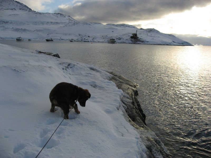 Djanco - ude og inde