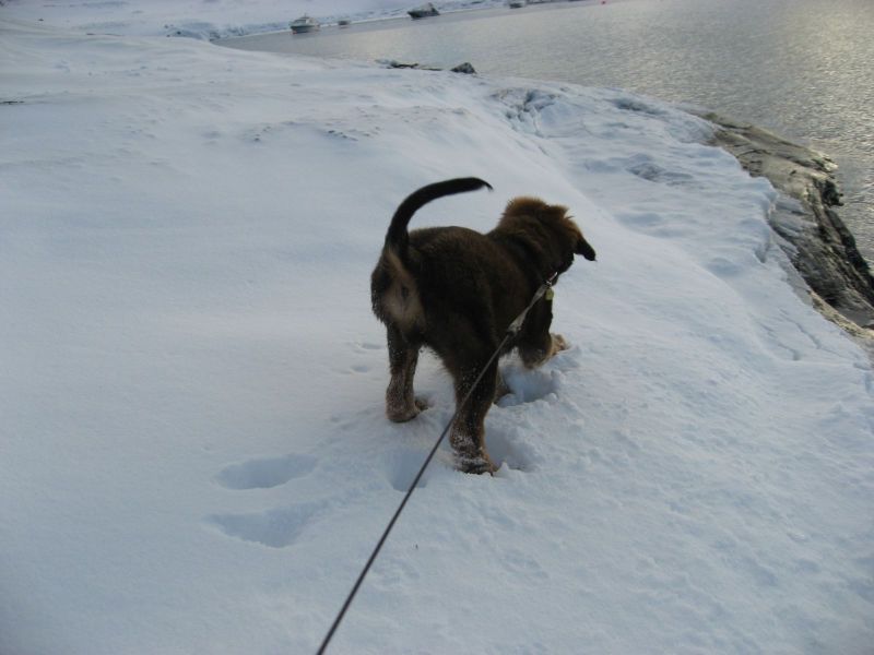 Djanco - ude og inde