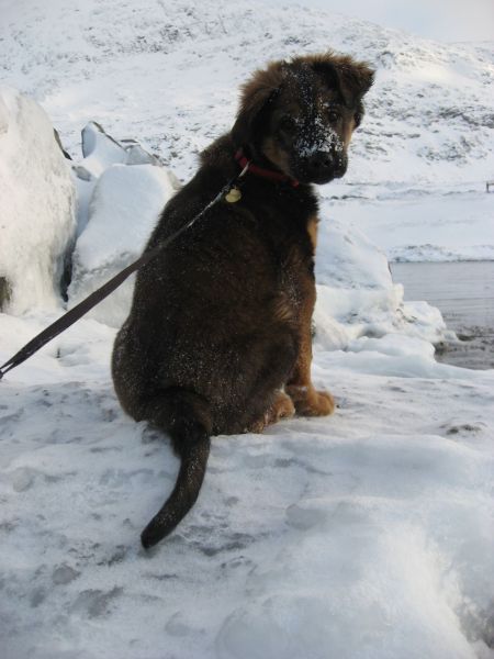 Djanco - ude og inde