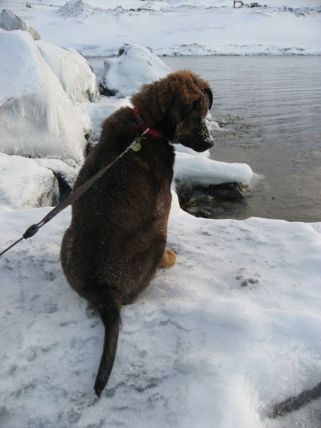 Djanco - ude og inde