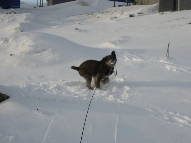 Djanco - ude og inde