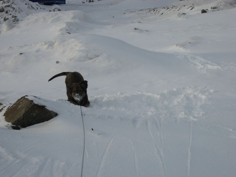 Djanco - ude og inde