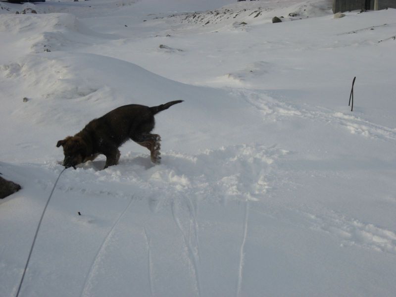 Djanco - ude og inde