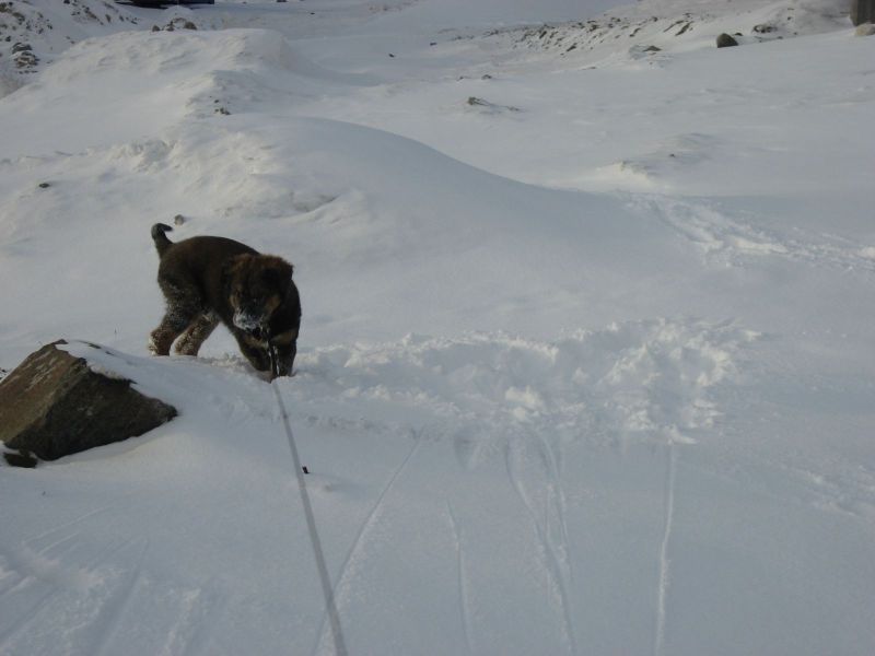 Djanco - ude og inde