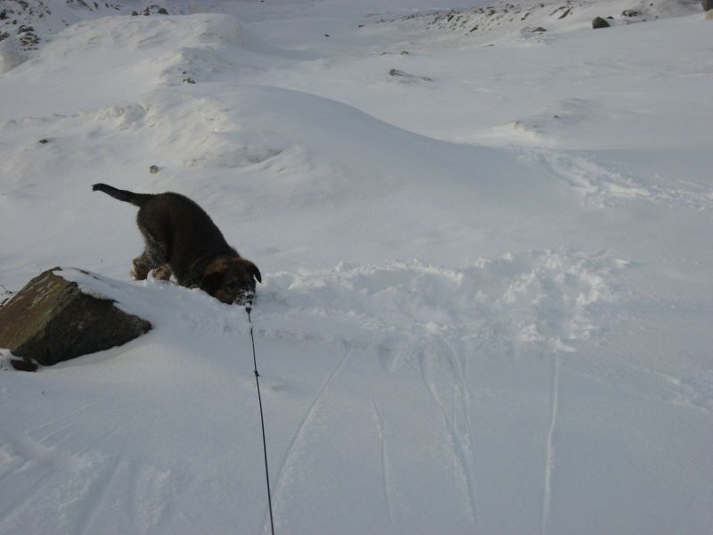 Djanco - ude og inde