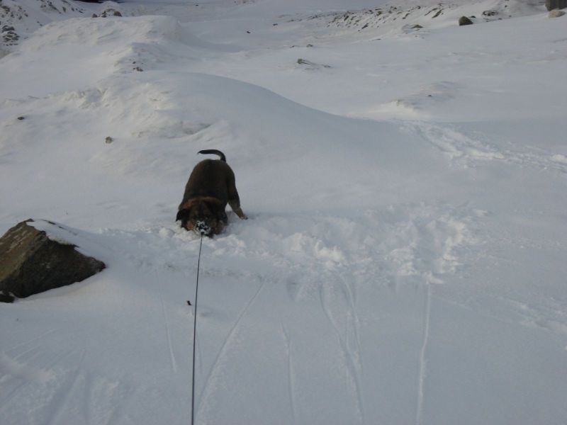 Djanco - ude og inde