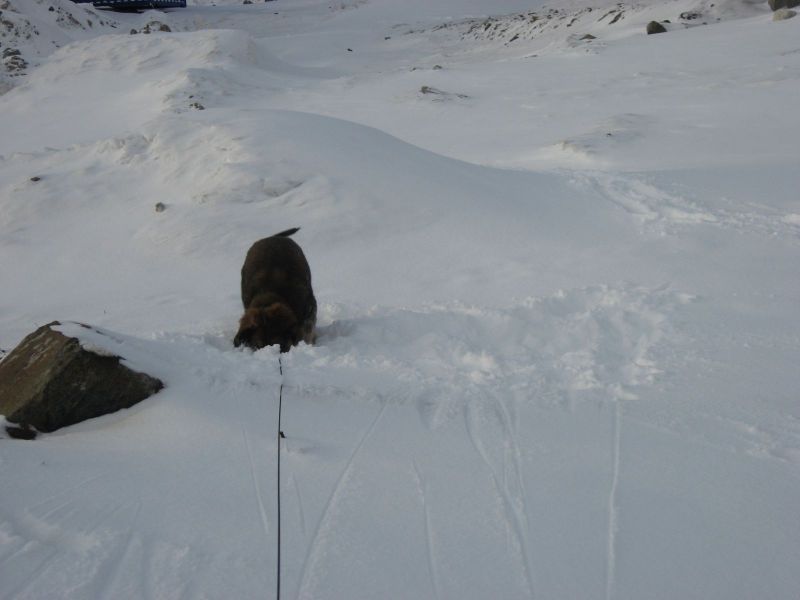 Djanco - ude og inde