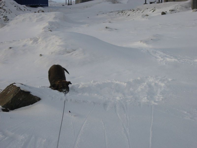 Djanco - ude og inde