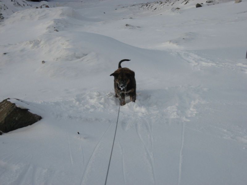 Djanco - ude og inde