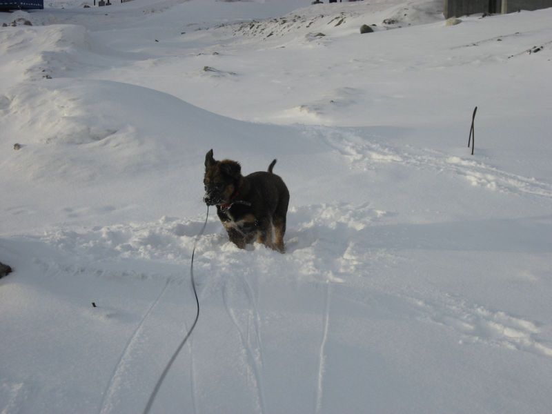 Djanco - ude og inde