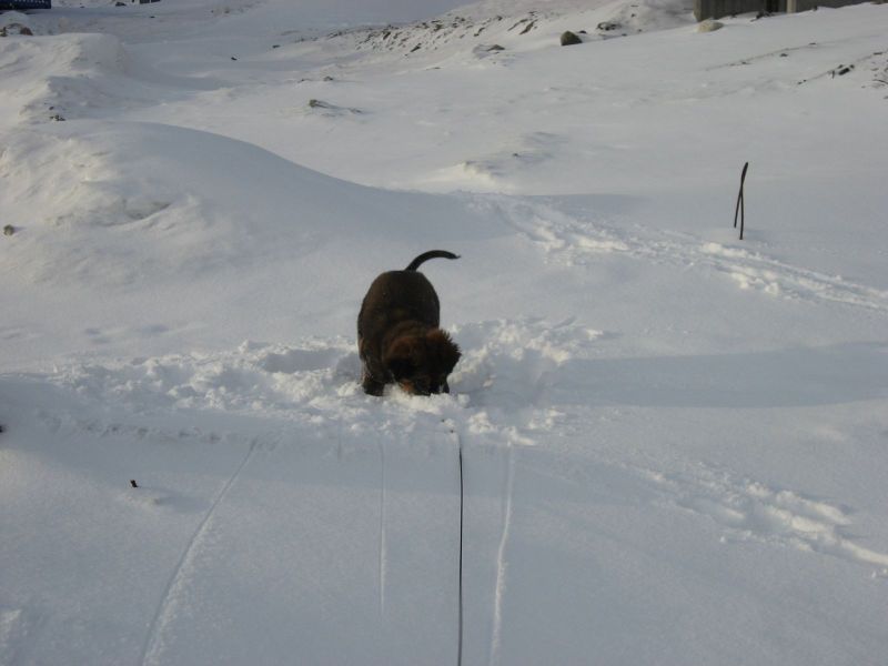 Djanco - ude og inde