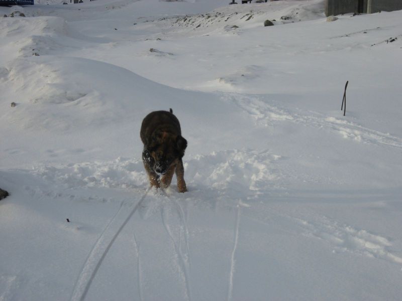 Djanco - ude og inde