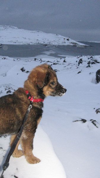 Djanco - ude og inde