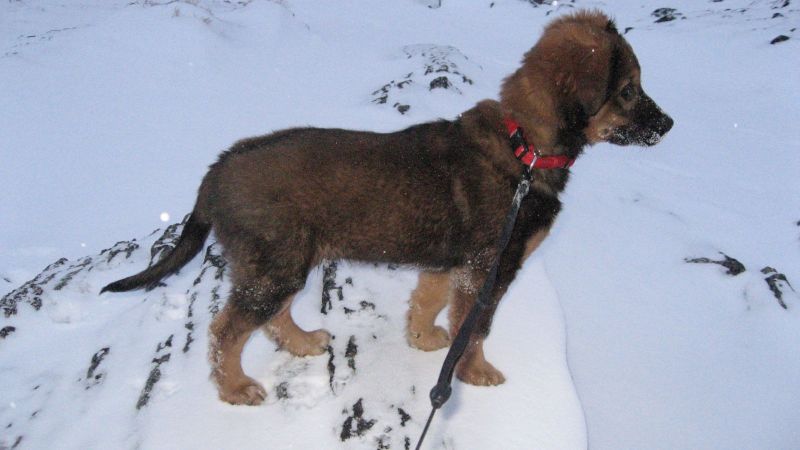 Djanco - ude og inde