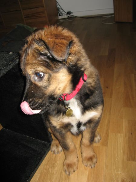 Djanco - ude og inde