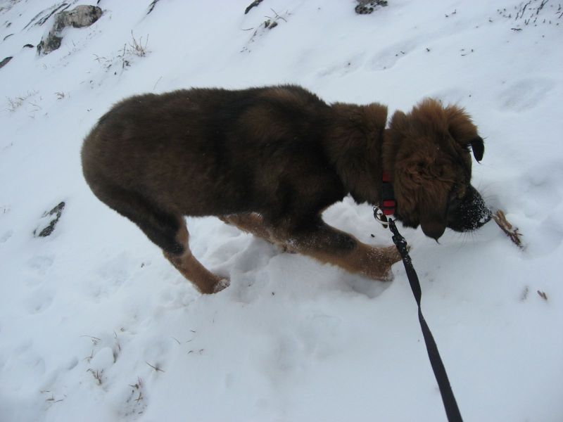 Djanco - ude og inde