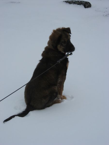 Djanco - ude og inde