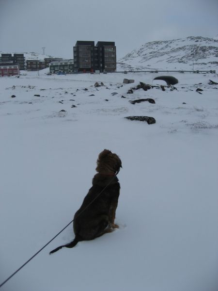 Djanco - ude og inde