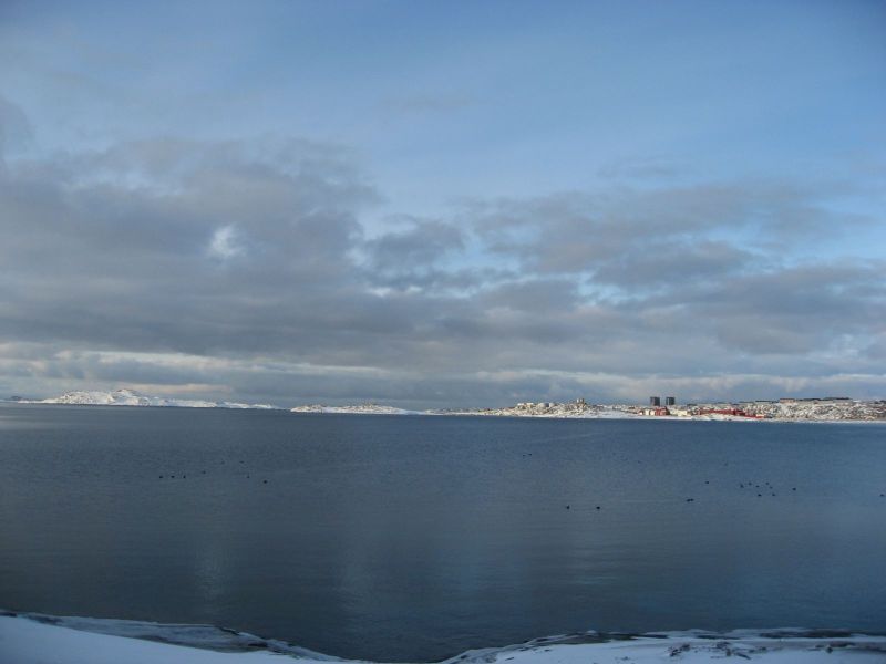 Billeder fra Qinnqorput