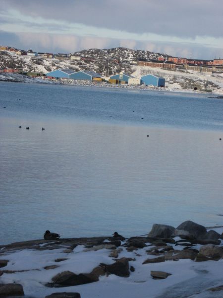 Billeder fra Qinnqorput